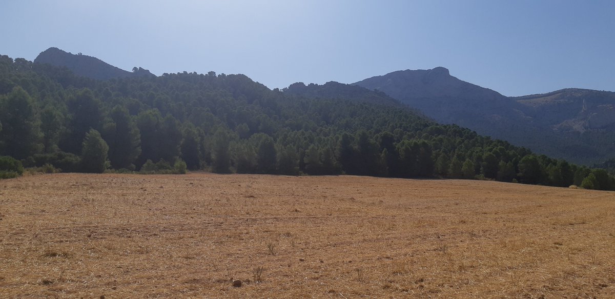 Feliz Día Mundial de la Tierra. ¡Cuidémosla! #DiaDeLaTierra