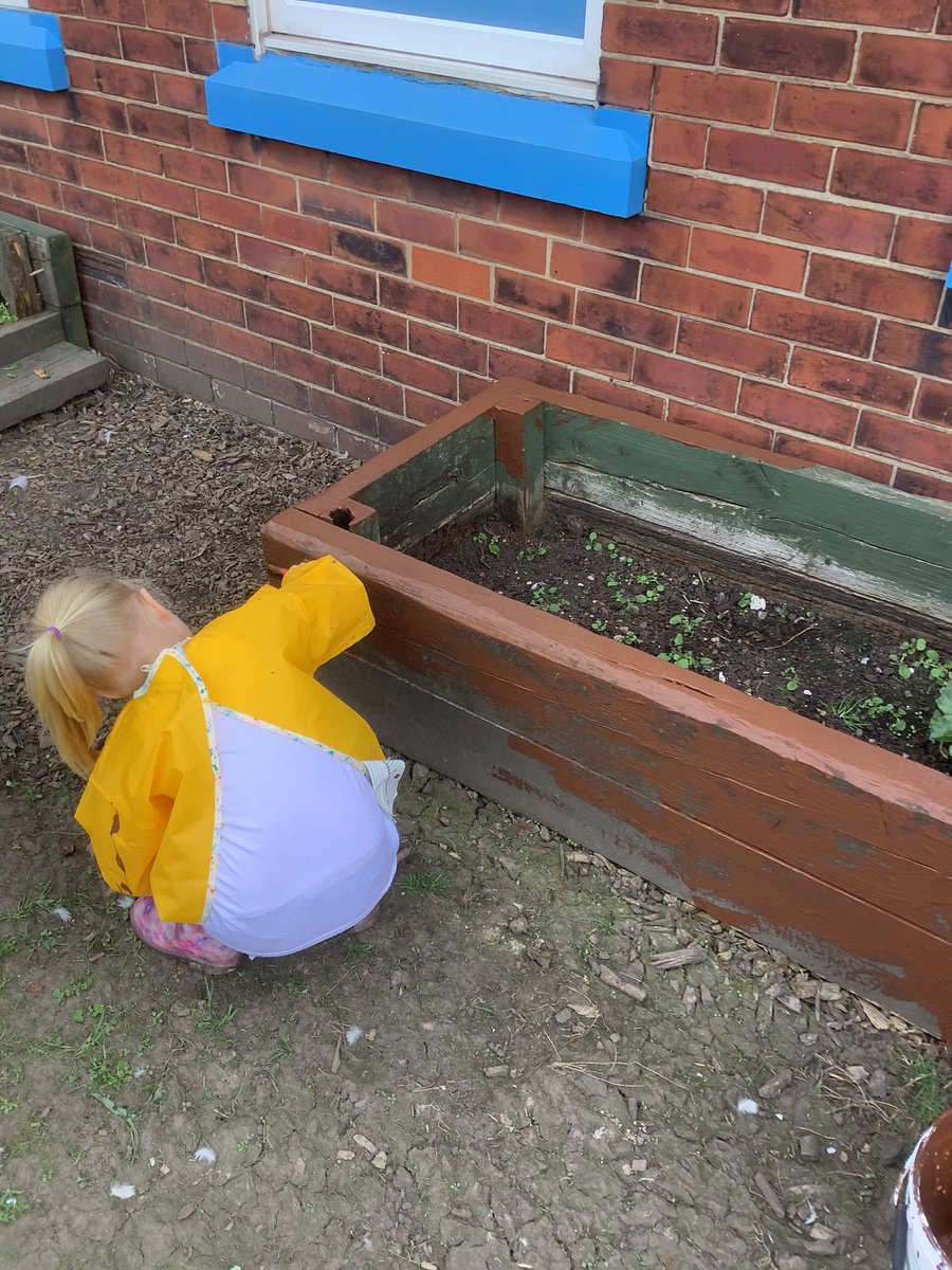 wcp_schoolEYFS's tweet photo. Off to a good start improving our school grounds in reception this morning! #EarthDay2022 #EarthDay #wcpsactivecitizens https://t.co/QKRYmkKVQz
