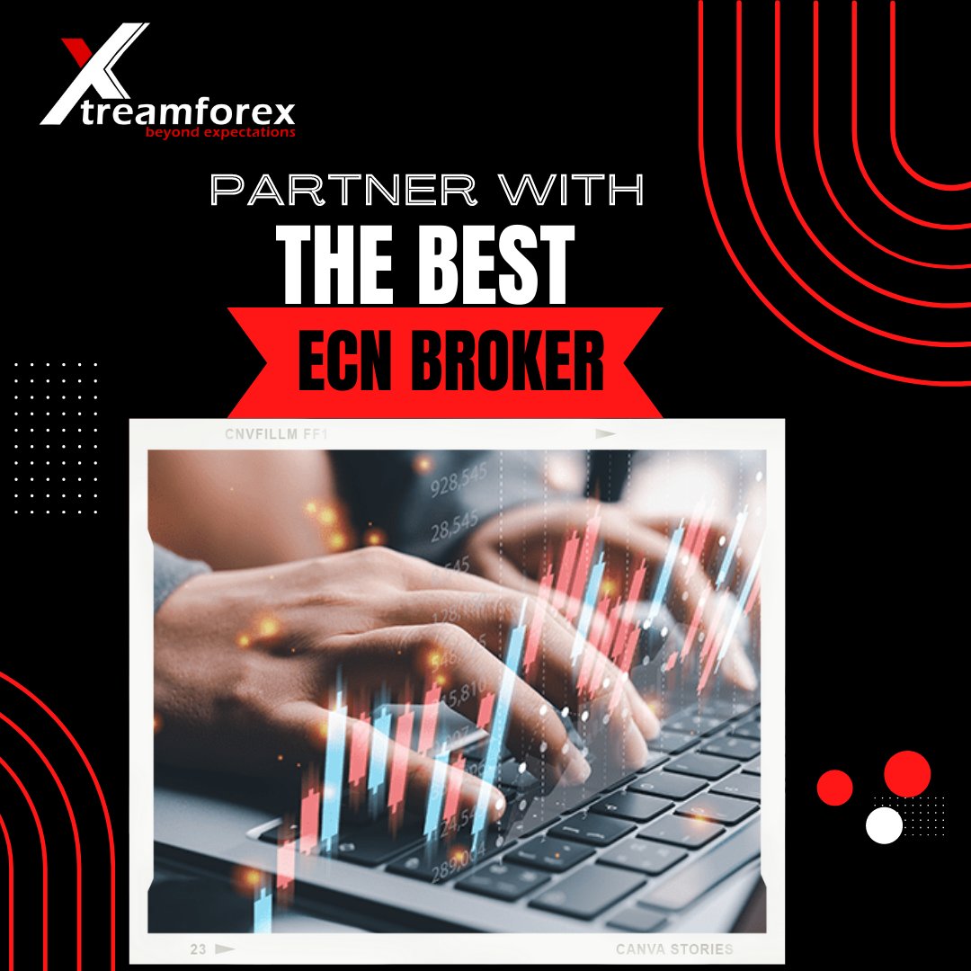 sakshiranack's tweet photo. Earn unlimited commissions and build your own affiliate business as one of our partners. Achieve your goals with exceptional support and marketing tools
visit us : https://t.co/tqupbrxB9x
#xtreamforex #beststock #trading #broker #Forextrding https://t.co/Mk4lsQB8N9