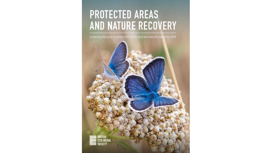 Protected areas can be the beating heart of nature recovery in the UK, but they must be more than lines on a map - new BES report published today 
bit.ly/3La8bVK