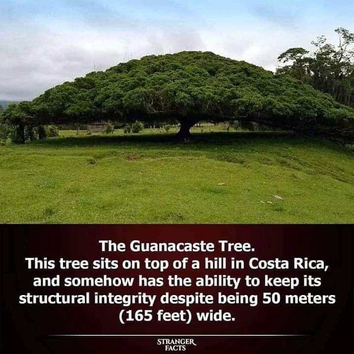 madhan (@madhandondapati) on Twitter photo 