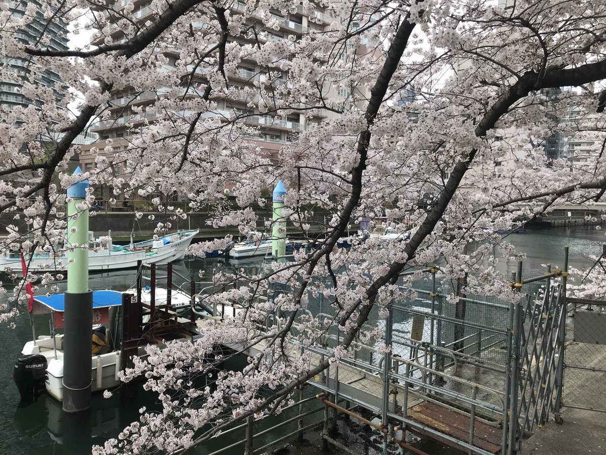 这几年经历了太多的魔幻，兑了两首三句半，聊解心郁。特别珍惜此地此刻的自由与和平！

新冠肆虐近三年
口罩检测疫苗繁
忽红忽绿健康码
荒诞

沪上封牢四十天
白影幢幢棍棒拳
猪头一拍清零策
全残