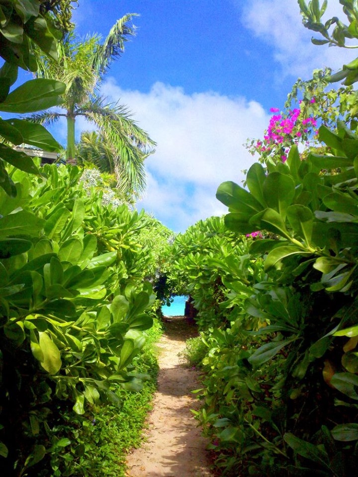 MauritiusGuide's tweet photo. Friday in Mauritius be like 
#fridaymorning https://t.co/3XIf2S6E6K