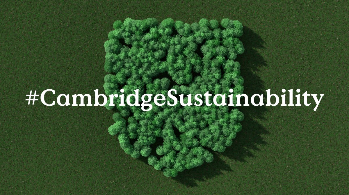 Trees in the shape of the Cambridge shield, #CambridgeSustainability