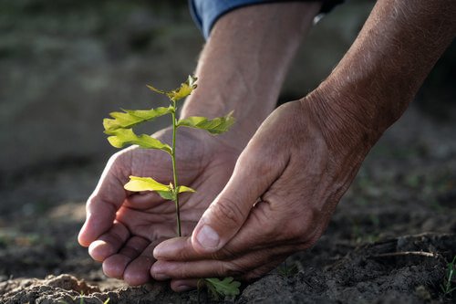 YvesRocherFR's tweet image. Avec son programme #PlantForLife, la @FondationYR a dépassé l&apos;objectif de 100 millions d&apos;arbres plantés &amp;amp; a mobilisé et soutenu plus de 45 ONG dans 35 pays. Une belle façon de rendre à la Terre, un peu de ce qu&apos;elle nous offre au quotidien. #Journeedelaterre #ReconnectToNature