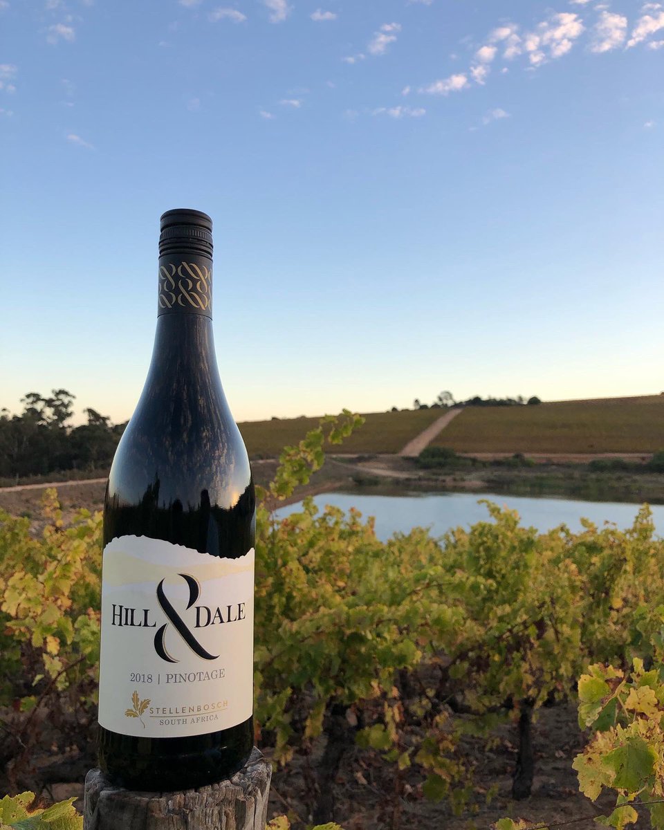 You can’t go wrong when you pair Pinotage up with tong 😉

Catch us at the <a href="/PinoBiltongFest/">Pinotage and Biltong Festival</a> this weekend! Get your tickets while you still can.

Satisfying your palate has never ever been this easy 🍷 

#hillanddale 
#pinotage
#pinotageandbiltongfestival