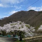 ツイートに含まれる画像