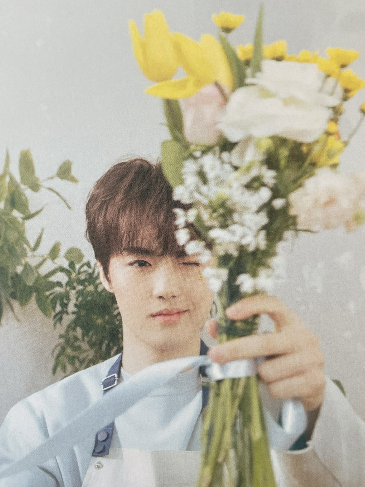 도비야 on Twitter "kim doyoung, the prettiest florist https//t.co