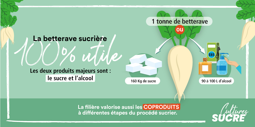 Cultures_sucre's tweet image. #JournéedelaTerre 🌍
La filière betterave-sucre 🇫🇷 est engagée dans une démarche d’#economiecirculaire 🔄 en valorisant les #coproduits issus du procédé d'extraction du #sucre et de l’alcool. 
#earthday #earthday2022 #journeemondialedelaterre
+ d'infos bit.ly/3O8ld8j👇