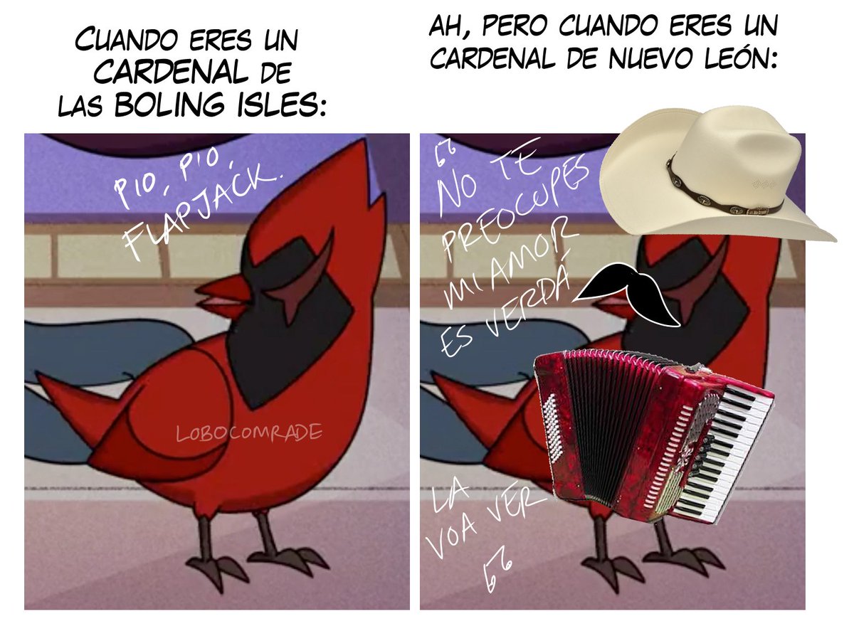 José Vasquez (@jose_vasquez_el_matador) • Instagram photos and videos, image size:1200x873