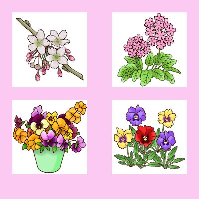 サクラソウのtwitterイラスト検索結果 古い順