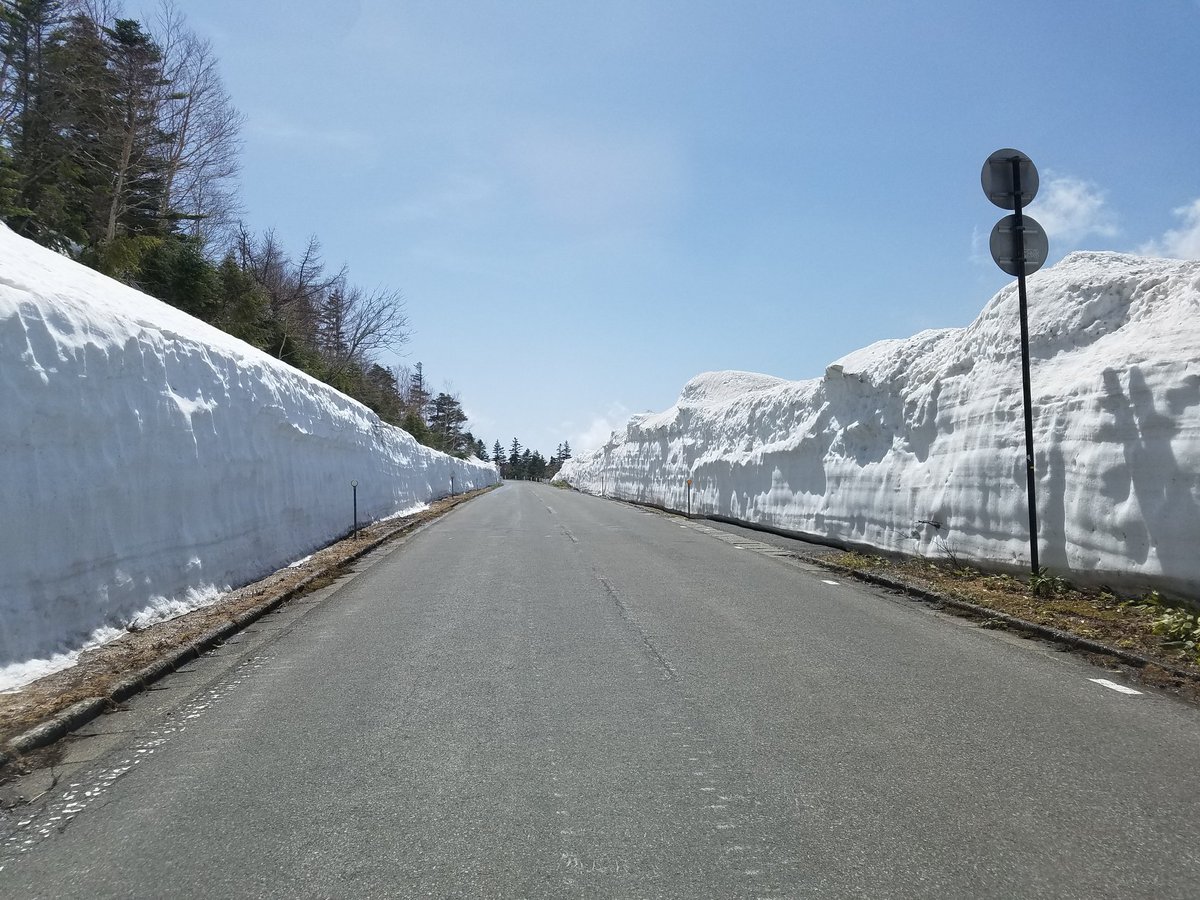 shiga_resort's tweet photo. 国道292号(志賀草津道路)本日より開通しました！日中の外気温15℃。暖かいです。道路沿いの雪は多い所で4m位ある場所も😲😲
また、横手山ドライブインもOPENしましたのでぜひ遊びに来てください🎵 https://t.co/ZakQIk02Rl