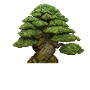 bit_bonsai's tweet photo. @aegean2356 check out [ Bit Bonsai ] https://t.co/7EFJPmwGQF https://t.co/sfZEcaFdfN