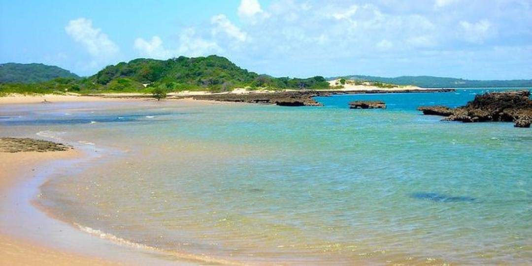 SenseOfAfricaSA's tweet photo. Mozambique has dropped all PCR tests for travellers fully vaccinated against COVID-19๐
This news was announced on Wednesday the 20th of April 2022 by President Filipe Nyusi.
๐ https://t.co/0M3XVg6zka
#SenseOfAfricaSA #PCRUpdate https://t.co/cwg8HKx6So