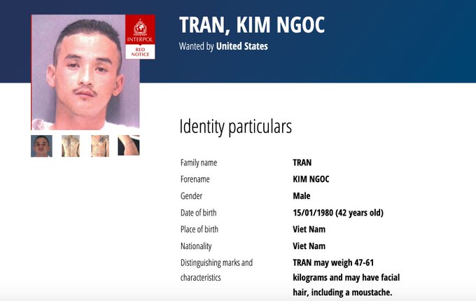 Is Tran Kim Ngoc Dead Or Still Alive?