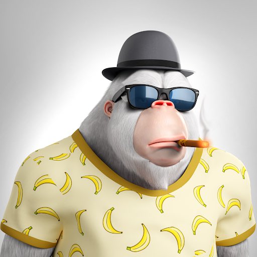 Thiago Seyboth Wild tweet media