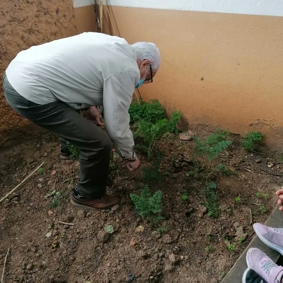 revolucio_verda's tweet photo. A #P5 han collit les pastanagues i se les han menjat totes... Que bona és la verdura de proximitat #superavi #EscolesSostenibles @escolesXESC @ecoFEP @eco_FEP @esenred21 https://t.co/nqt3gHuxu5