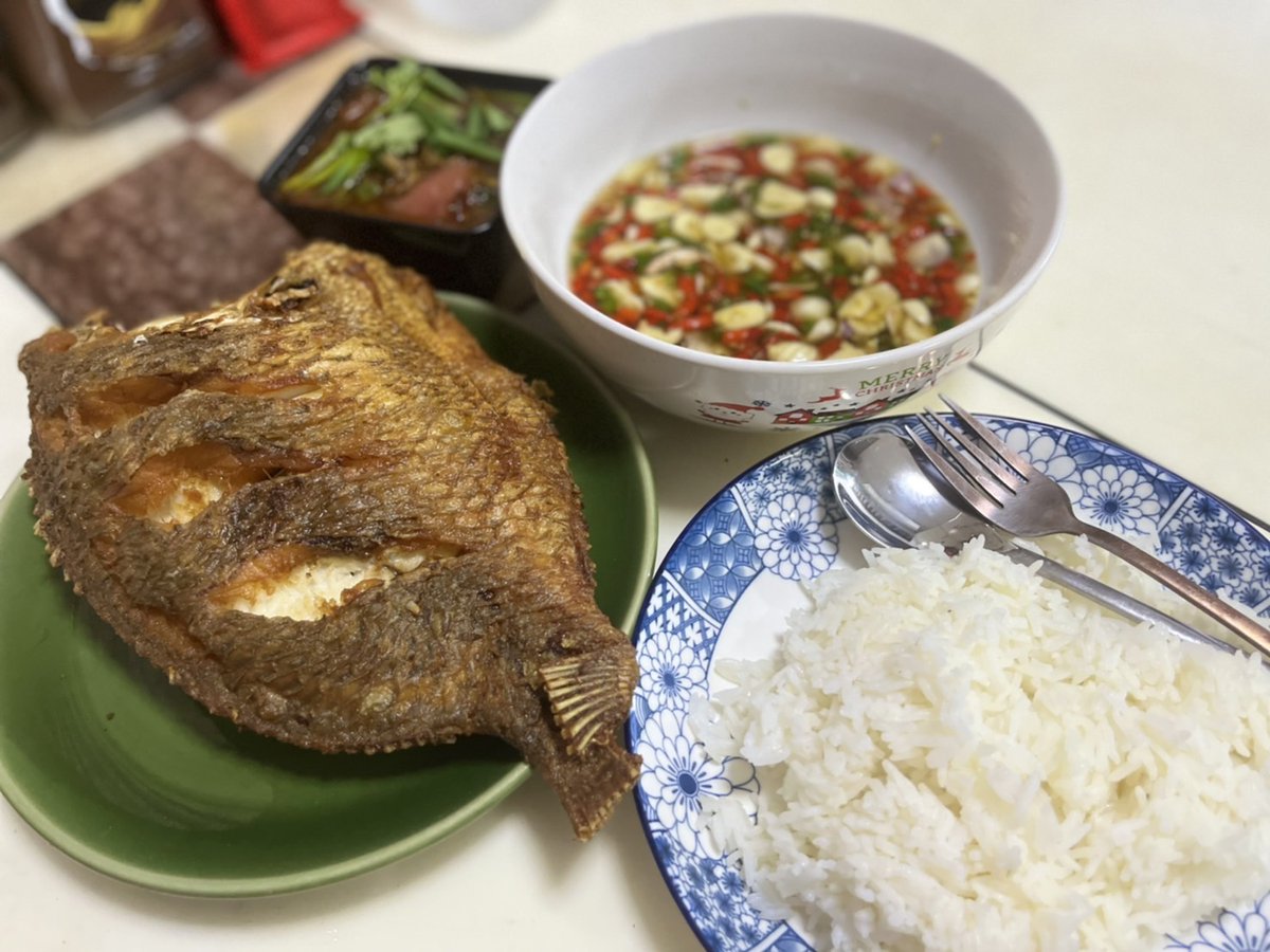 l2abbitJr's tweet image. ข้าวปลาแกะ