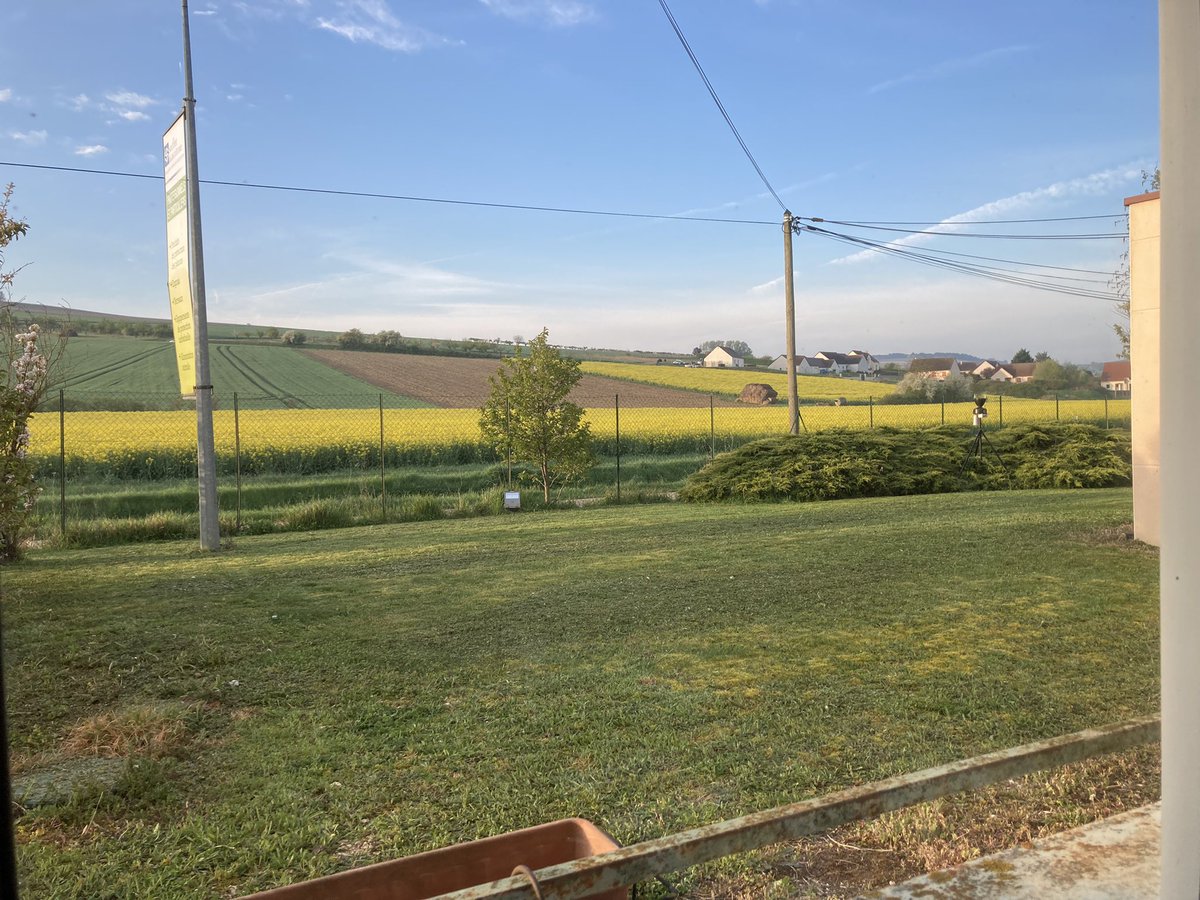 OlivierCOSTE2's tweet photo. Un plaisir @BONNIN1402 en voyant pour cette fin de semaine,la belle #biodiversité du jaune #Colza dans l’#Yonne et surtout depuis la fenêtre de notre bureau de #StBris. https://t.co/paIC52PcaL