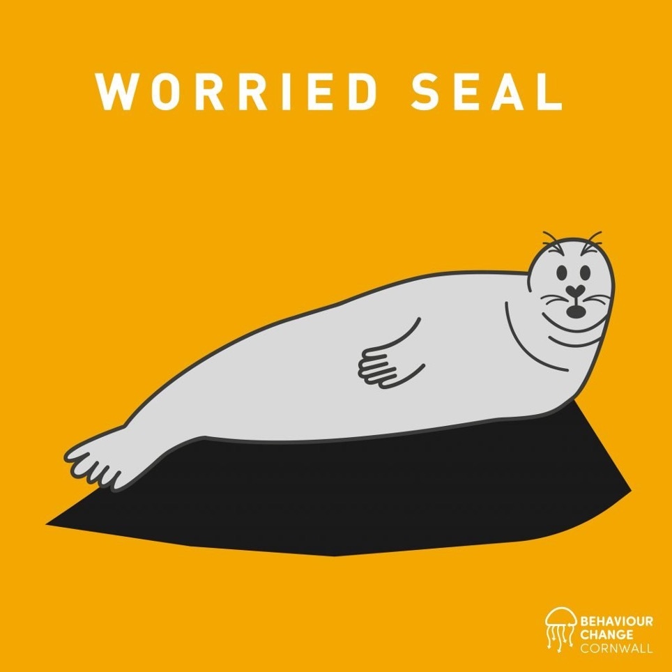 If a seal is looking at you, it has been disturbed. It is trying to determine if you’re a threat – so now it’s time to move further away.

To find out more: behaviourchangecornwall.co.uk/give-seals-spa…

@behaviourchangecornwall @looeMCG #givesealsspace #keepyourdistance #watchingsealswell