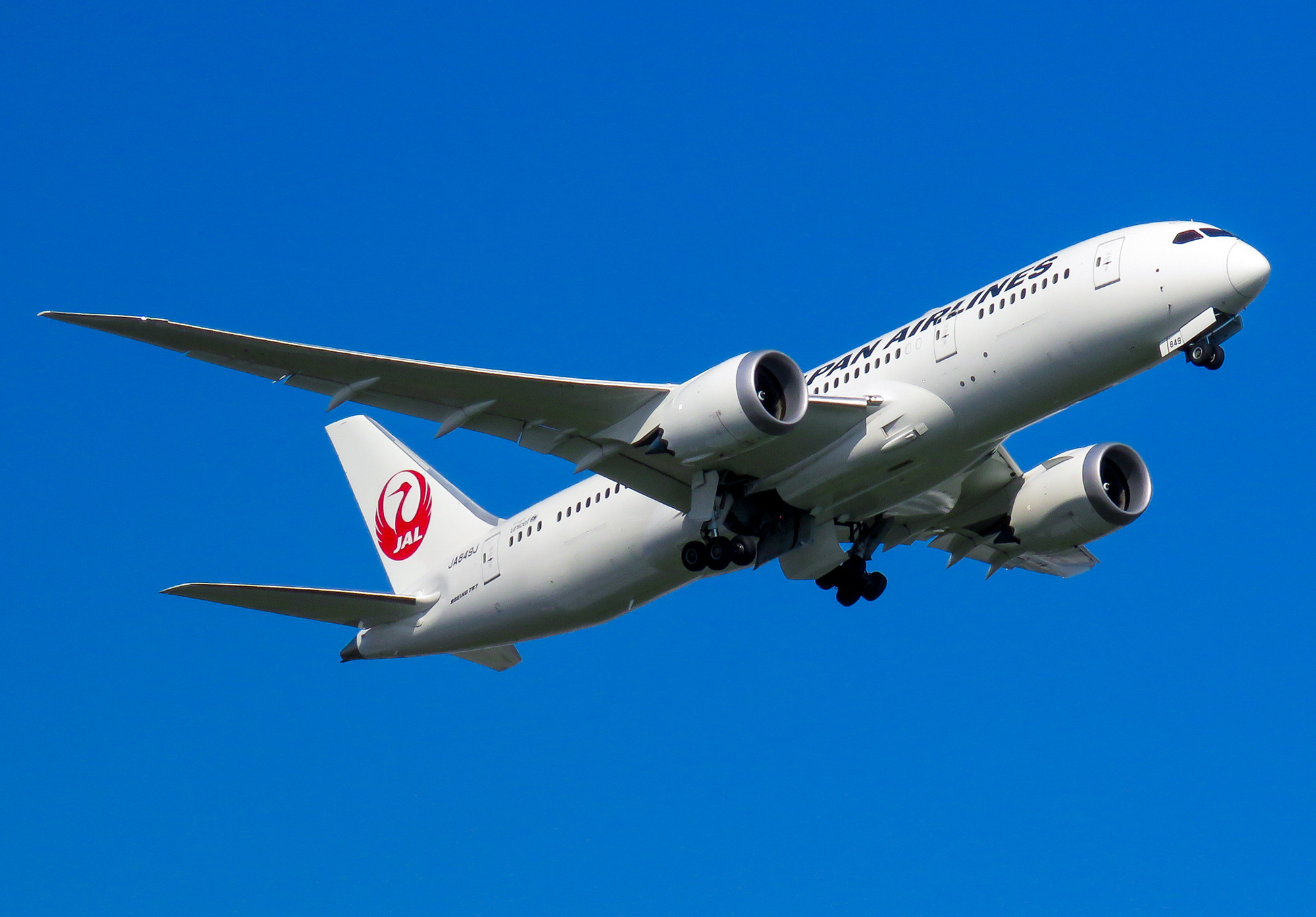 ボーイング787　 JAL 就航10周年　特別記念チャーター JAL】ボーイング787 JAL就航10周年記念チャーター 羽田発着で