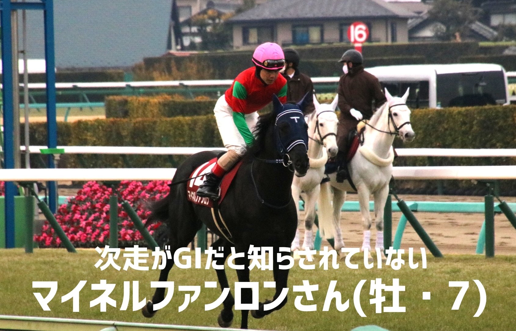 ラ ムーラ またしてもなにも知らされていないマイネルファンロンさんシリーズだよ 間違えて巻き込んじゃったから再投稿するよ T Co Q8ieamcc7i Twitter ラ ムーラ またしてもなにも知らされていないマイネルファンロンさんシリーズだよ 間違えて巻き込んじゃったから再投稿するよ T Co Q8ieamcc7i Twitter