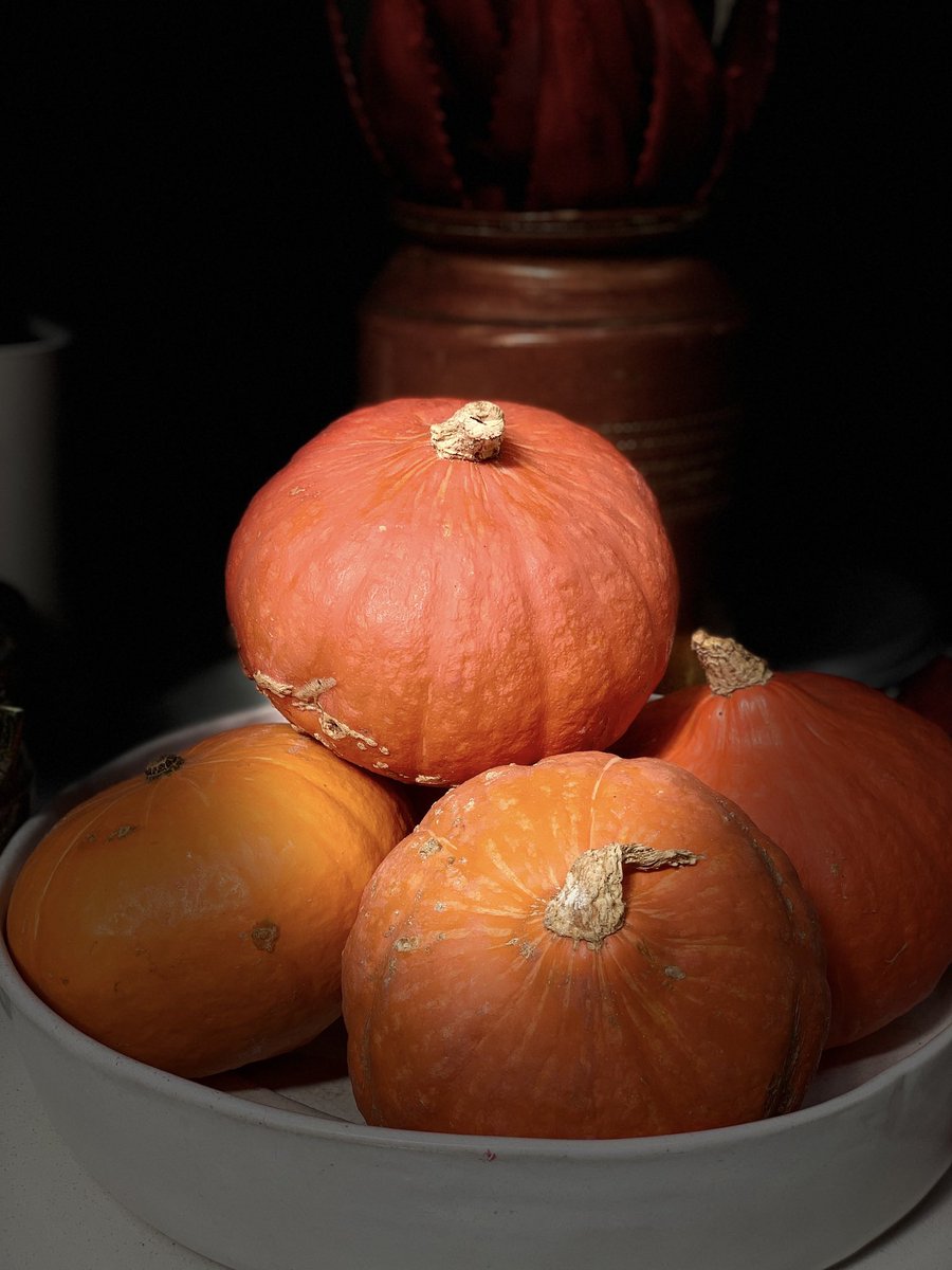 Latest news on our blog.

africanrelish.com/news/an-autumn…