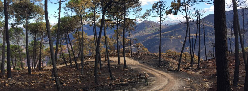 Hoy en <a href="/indforma/">indforma</a>: Valladolid y Ávila acogen sendos talleres de buenas prácticas preventivas y extinción de #incendios, de la mano de <a href="/GEFRECON_POCTEP/">GEFRECON. Gestión Forestal Conjunta. POCTEP</a> y <a href="/firepoctep/">Proyecto FIREPOCTEP+</a> 
Más info en ow.ly/GQJi50IPwWq