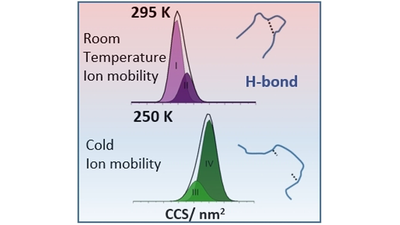 Angewandte Chemie (@angew_chem) on Twitter photo Cold Denaturation of Proteins in the Absence of Solvent: Implications for Protein Storage (Barran) @PerditaB <a href="/EmmaNorgate/">Emma Norgate</a> #openaccess onlinelibrary.wiley.com/doi/10.1002/an… Cold Denaturation of Proteins in the Absence of Solvent: Implications for Protein Storage (Barran) @PerditaB <a href="/EmmaNorgate/">Emma Norgate</a> #openaccess onlinelibrary.wiley.com/doi/10.1002/an…