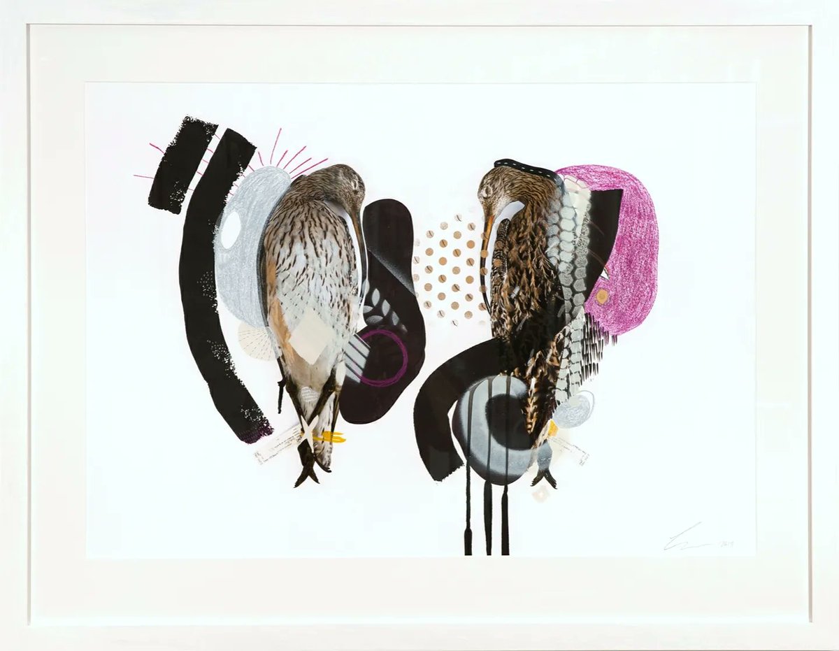 Lucy Stevens tweet media