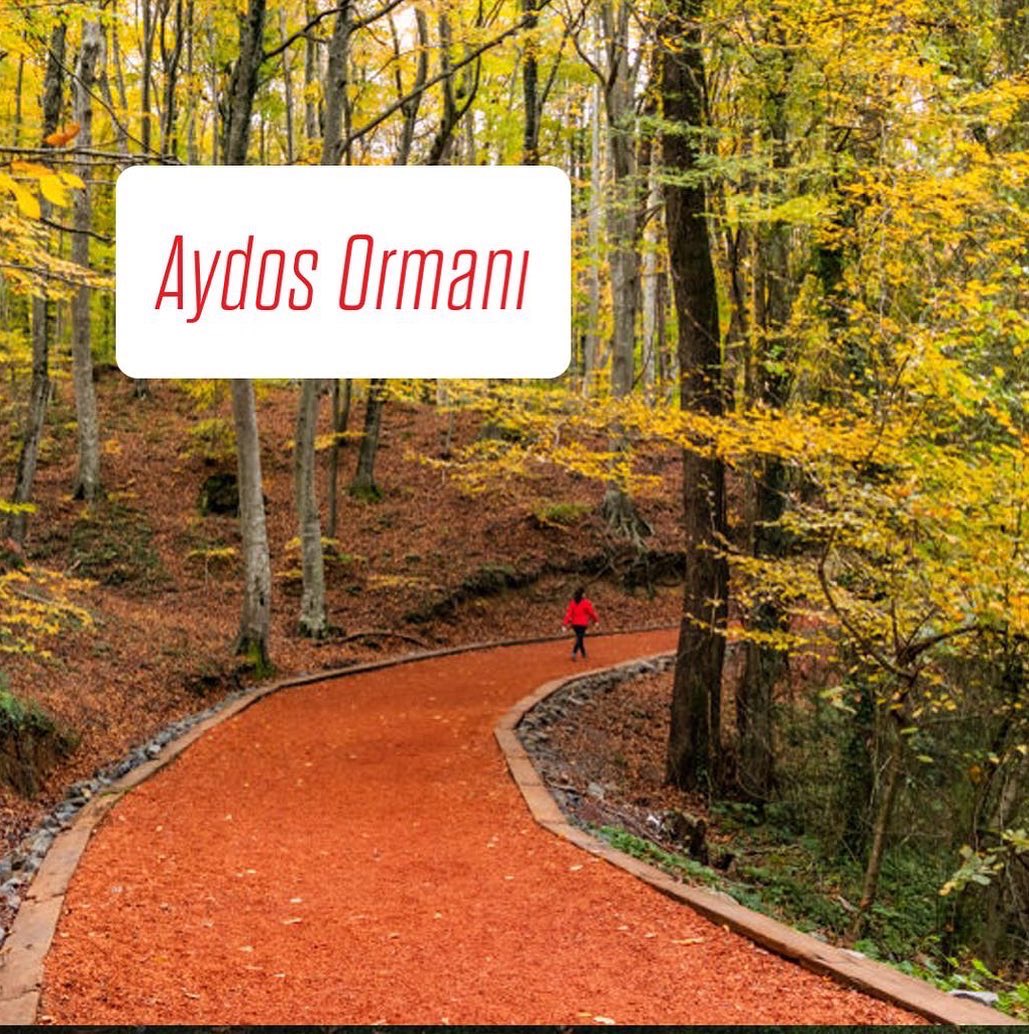 heybuddyapp's tweet photo. Bu hafta Bisiklet turunun İstanbul etabını izleyince senin de aklından şehrin en güzel noktalarında pedal çevirmek geçti değil mi? 🚴🚴‍♀️🚴‍♂️Yalnız değilsin. Birlikte pedal çevireceğin buddy HeyBuddy’de, bisiklet parkurları da burada sağa kaydır ve keşfet.😌

#bisiklet #spor #bicycle https://t.co/8esRHLXZlD