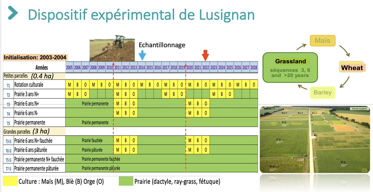 Very exciting <a href="/EEnergylink/">EJPSOIL EnergyLink</a> sampling day with my team at the ACBB long-term experimental site in Lusignan-France. 120 samples from 3 of the 7 ACBB treatments relevant to the project will be sent to seven partners ouver Europe. <a href="/INRAE_Poitiers/">INRAE Nouvelle-Aquitaine Poitiers</a> <a href="/ParisSoil/">Paris Soil organic matter research Group</a>