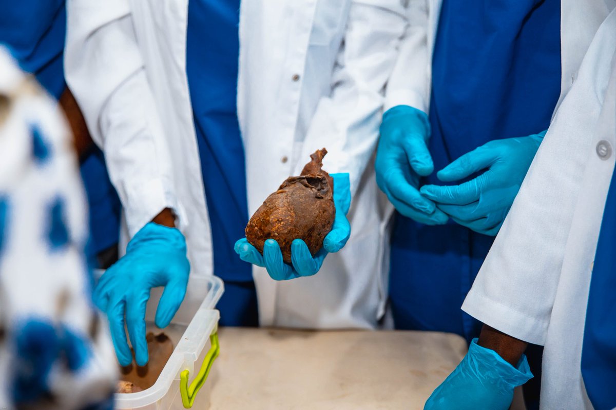 EdASimphat's tweet image. Yon ti apèsi de sak te gen nan premye Jounen Syantifik yo.

Jounen Syantifik yo ap kontinye pou jodi an rive demen. Ou ka pase vizite nou nan Premye Riyèl Nazon #10 sou wout boudon an.

#js2022
#santémentale
#fmss_ulum
#usque_ad_victoriam