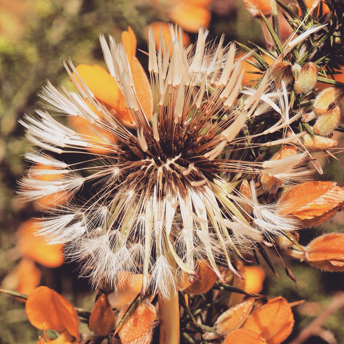 J-François Quém (@jefquem) on Twitter photo 