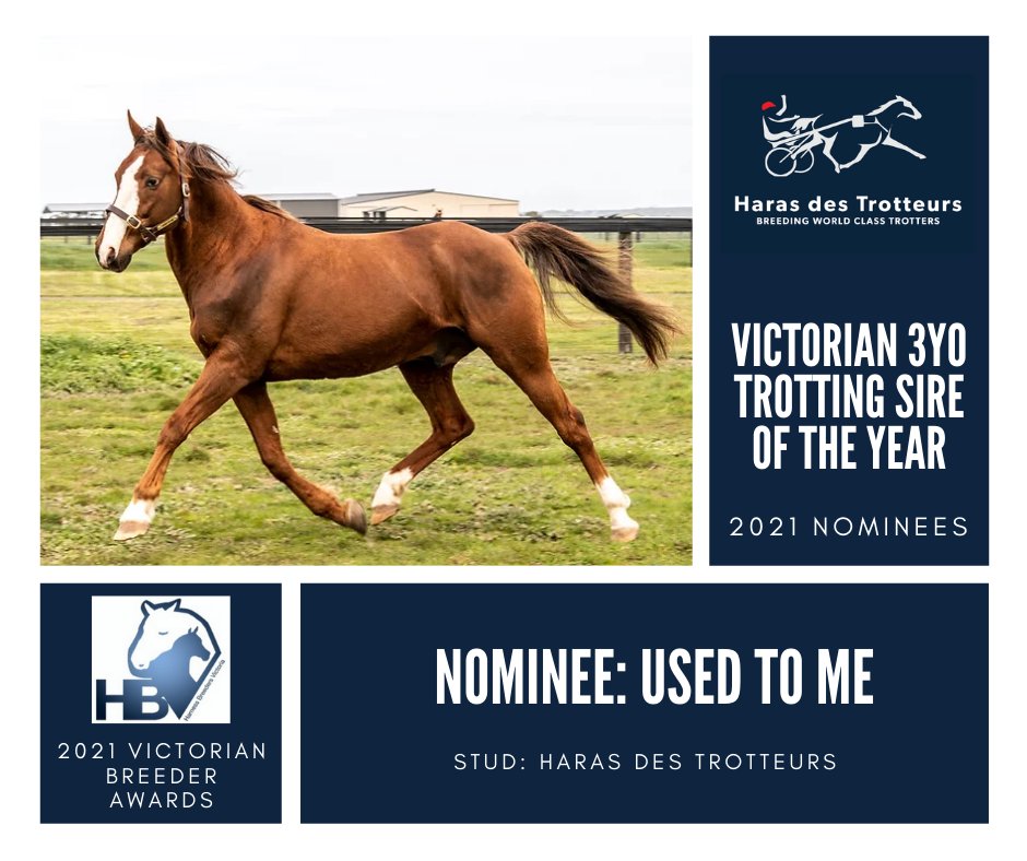 HarnessBreeders's tweet photo. The final of the 2021 @YabbyDamFarms Victorian 3YO Trotting Sire of the Year nominees is #UsedToMe, who stood at Haras des Trotteurs for the 3YO conception year: https://t.co/vhH3G9gAxt
