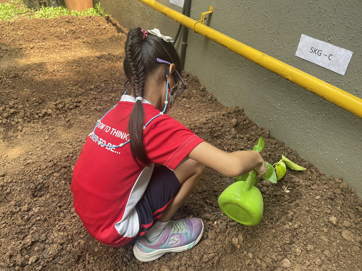 jinalvira's tweet image. Earth is a fine place and worth fighting for….

My little ones’ effort to invest in our planet.

#TakeAction #pyp #ibeducator #littlehandstakingaction #InvestInOurPlanet #EarthDay2022 

@crissy285 @archana2804 @lisakatehughes @iborganization @ibpyp @ois_primary @ois_primary