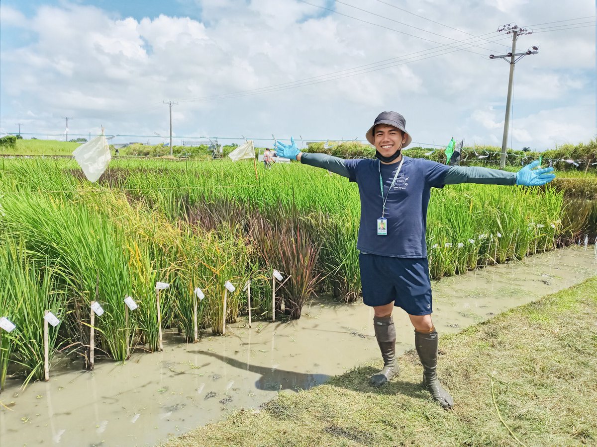 Christian Cantos (@kristiankantos) on Twitter photo I’m back at IRRI! As part of my PhD research, I will be analyzing the natural variation of my favorite rice G proteins. Here are the two field trial of my well-watered and drought stress experiments! <a href="/irri/">IRRI 🌾</a> <a href="/PennStateBio/">Penn State Biology</a> <a href="/AssmannLab/">AssmannLab</a> <a href="/huckinstitutes/">Huck Institutes</a> I’m back at IRRI! As part of my PhD research, I will be analyzing the natural variation of my favorite rice G proteins. Here are the two field trial of my well-watered and drought stress experiments! <a href="/irri/">IRRI 🌾</a> <a href="/PennStateBio/">Penn State Biology</a> <a href="/AssmannLab/">AssmannLab</a> <a href="/huckinstitutes/">Huck Institutes</a>