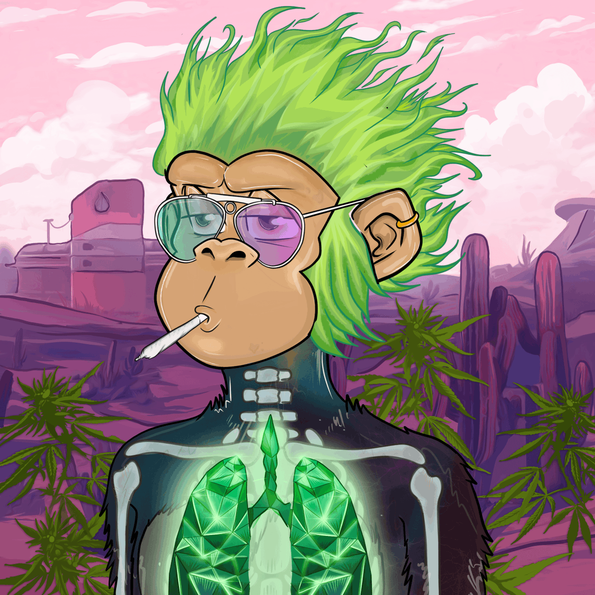 ihill27's tweet image. If you're bullish on @StonedApeCrew, recognize what they're building, and dig the community, but cant afford a SAC or NAC, you can participate in their success buying $ALL the $PUFF you CAN afford.