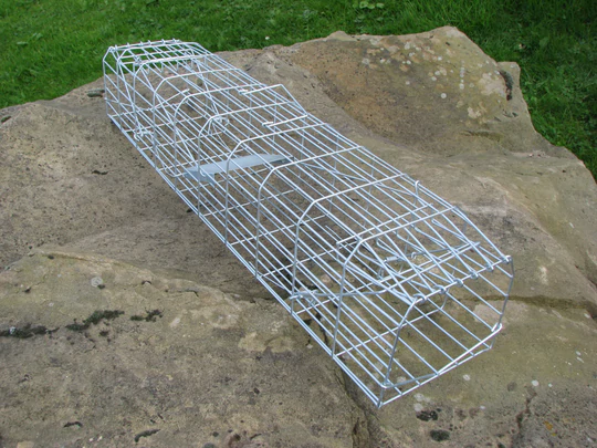 GamekeepLTD's tweet photo. Double Entry Mink Trap.
A traditional device for the humane trapping of Squirrel/Mink .The trap has two doors, one at each end.
#Gamekeep https://t.co/67RHsiPnHX
