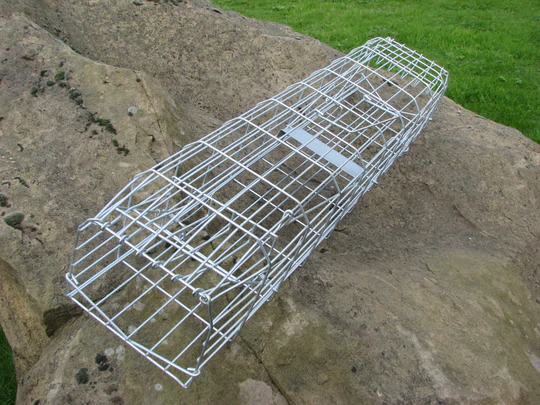 GamekeepLTD's tweet photo. Double Entry Mink Trap.
A traditional device for the humane trapping of Squirrel/Mink .The trap has two doors, one at each end.
#Gamekeep https://t.co/67RHsiPnHX