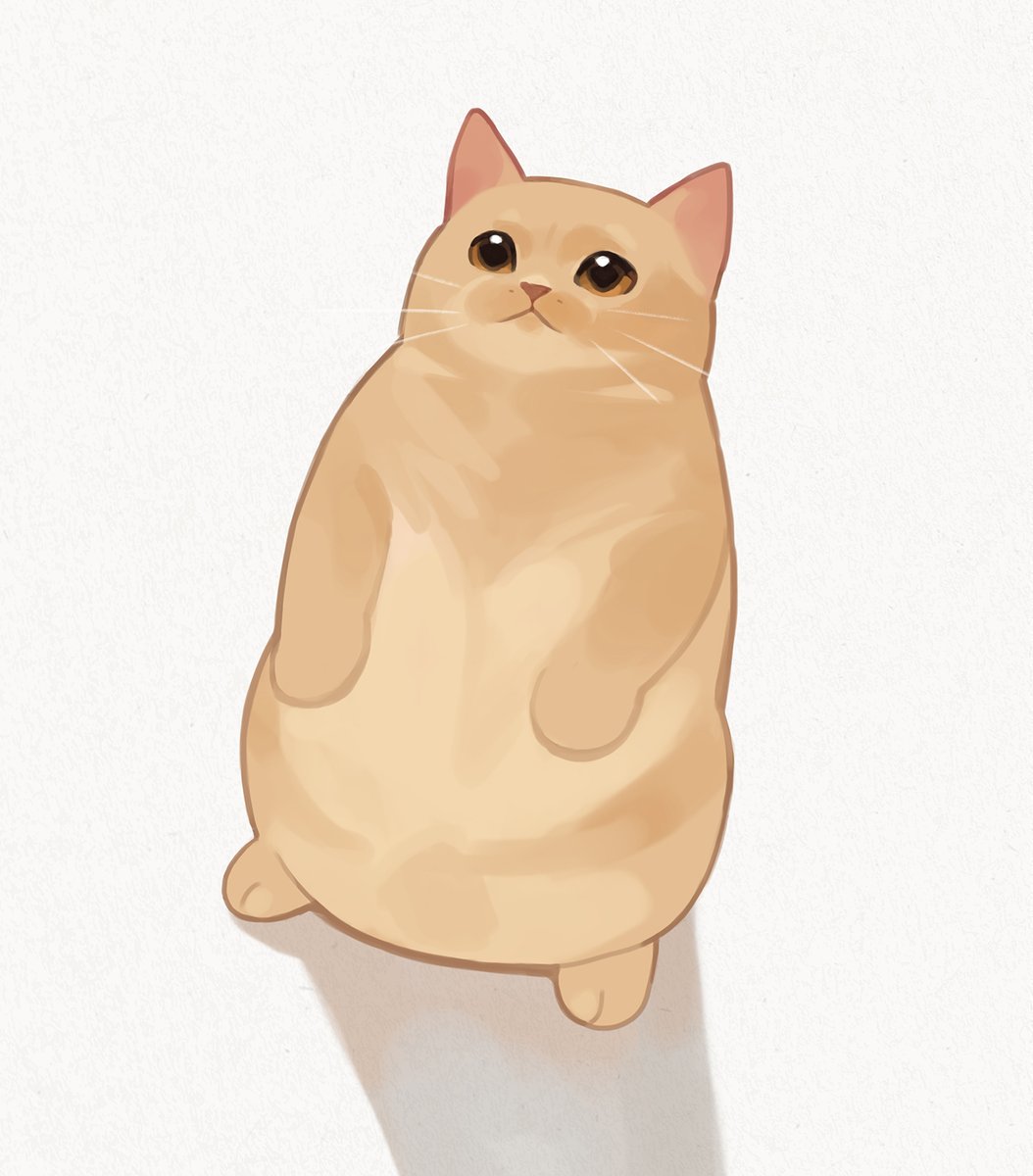 gentleeeeeeecat's tweet photo. my favorite cat pose🐈 https://t.co/WOy7D1VQNG