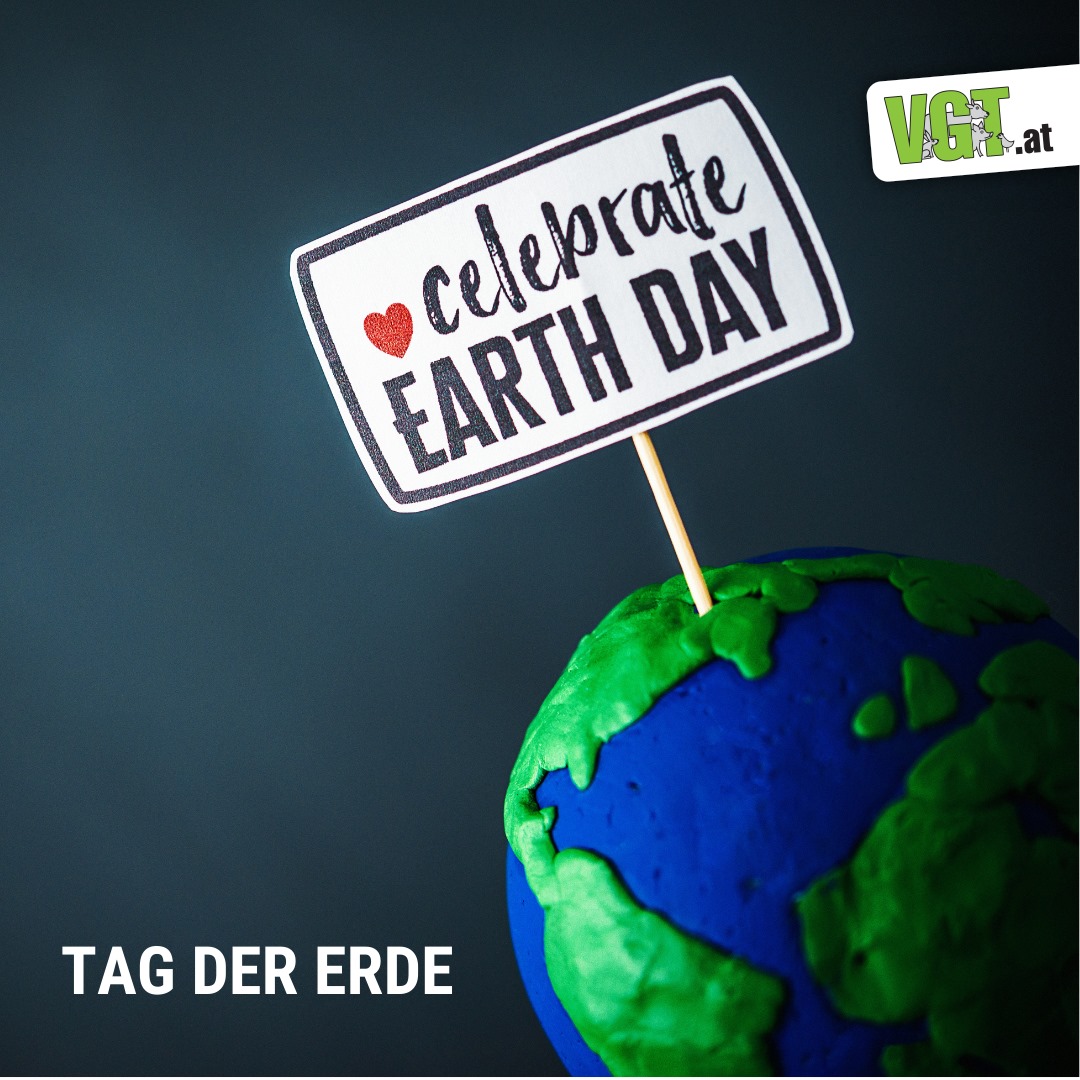 vgt_at's tweet image. Heute ist TAG DER ERDE 💙🌍 Ziel dieses Tages ist es, auf die Einzigartigkeit und die Zerbrechlichkeit unseres Planeten aufmerksam zu machen. Fest steht, um unsere Erde zu bewahren, muss etwas passieren. 
#WorldEarthDay #TagDerErde #EarthDay #EarthDay2022 !B