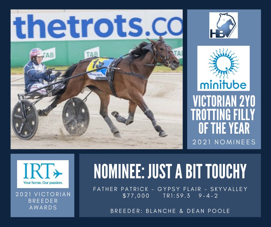 HarnessBreeders's tweet photo. The second of the 2021 Minitube Australia Victorian 2YO Trotting Filly of the Year nominees is JUST A BIT TOUCHY, by #FatherPatrick & bred by @rhiannonpark14: https://t.co/TI0rBSy6gI