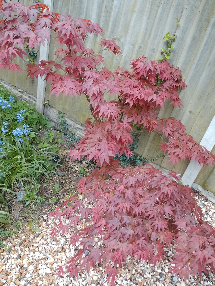 Jude Peters tweet media