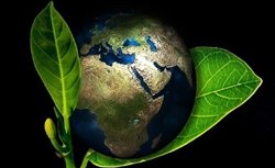 Nieuwe masterclass opent deuren naar de natuur

ru.nl/titusbrandsmai…