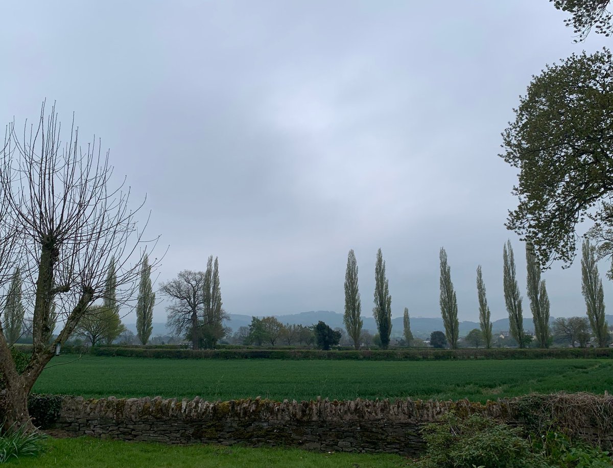 davies_parry's tweet photo. A #cloudier kinda morning in #Hayonwye! Must know we’re leaving today! #HappyFriday #FridayThoughts @ITVWales @itvweather @S4Ctywydd @StormHour @ThePhotoHour @ItsYourWales @Ruth_ITV @ChrisPage90 @WeatherAisling @allyhumphreys @LlyrTywydd @LukeMiall @metoffice #loveukweather☁️🌳☁️ https://t.co/iVfgLK6n9u