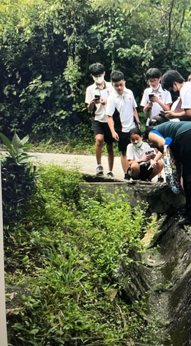 HimaV5's tweet photo. G6:Earth Day Biodiversity appreciation walk around campus #isspride #EarthDay https://t.co/8f2DRFP8Qj