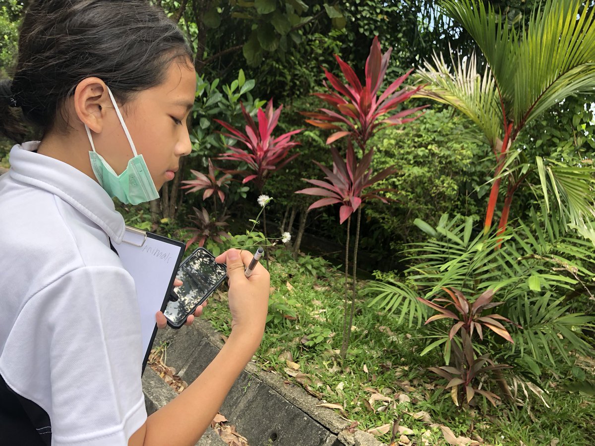 HimaV5's tweet photo. G6:Earth Day Biodiversity appreciation walk around campus #isspride #EarthDay https://t.co/8f2DRFP8Qj
