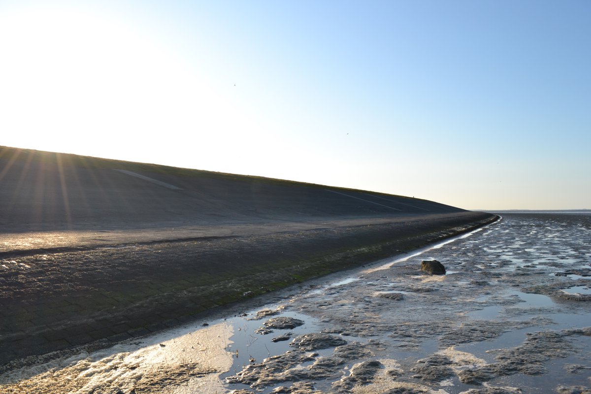 Op de dag van de aarde staan we stil te staan bij onze voetafdruk. Wij weten we dat we ook zelf een rol hebben bij het mooier maken van de aarde. Daarom zetten wij ook in op duurzaamheid: we bouwen circulair, we beperken onze uitstoot en stimuleren de biodiversiteit.