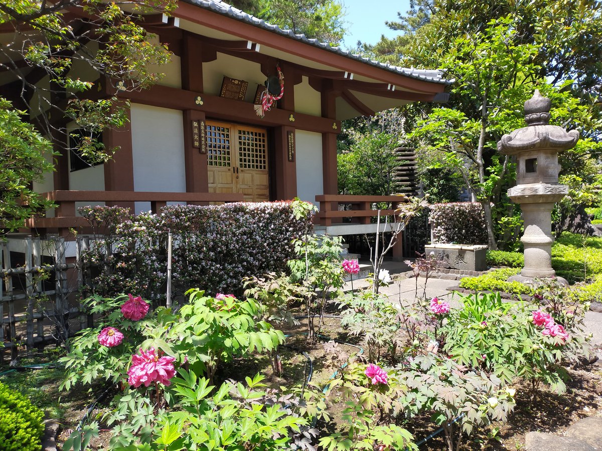 lirelejapon's tweet image. Bon vendredi, bon weekend ! Il fait chaud aujourd'hui à Tokyo !